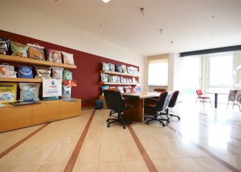 BELLISSIMO CAPANNONE DI RAPPRESENTANZA PARI AL NU - Locale Commerciale Via dei Bocchi 201, Capannori - foto 23