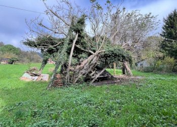 Rif 1654 (11).jpg - Townhouse Stella - photo 17