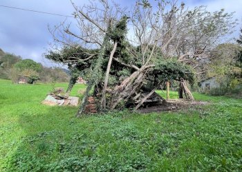 Rif 1654 (12).jpg - Townhouse Stella - photo 18