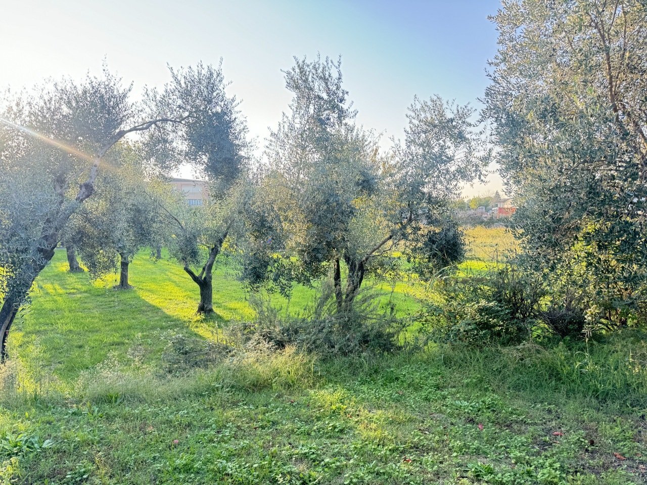 IMG_9629.JPG - Terreno edificabile Pietrasanta - foto 2