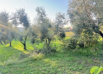 IMG_9628.JPG - Terreno edificabile Pietrasanta - foto 1