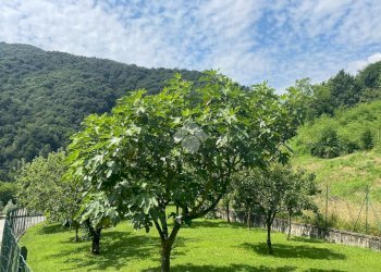 Villa Via buggie, Valdilana - photo 47