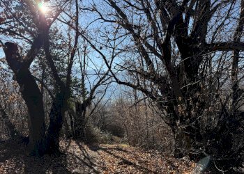 Rustico Via Vecchia della Valle, SNC, Revello - foto 19