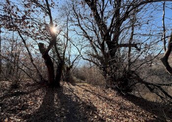 Rustico Via Vecchia della Valle, SNC, Revello - foto 20