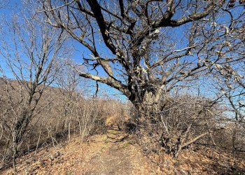 Rustico Via Vecchia della Valle, SNC, Revello - foto 21