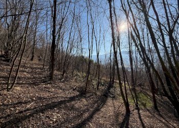 Rustico Via Vecchia della Valle, SNC, Revello - foto 24