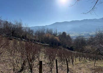 Rustico Via Vecchia della Valle, SNC, Revello - foto 27