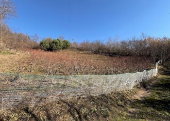 Rustico Via Vecchia della Valle, SNC, Revello - foto 31