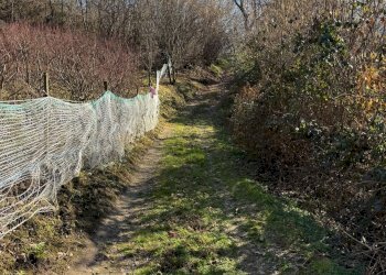 Rustico Via Vecchia della Valle, SNC, Revello - foto 32