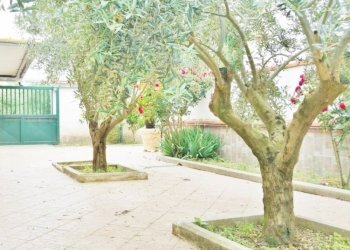 Appartamento Mondragone - foto 5