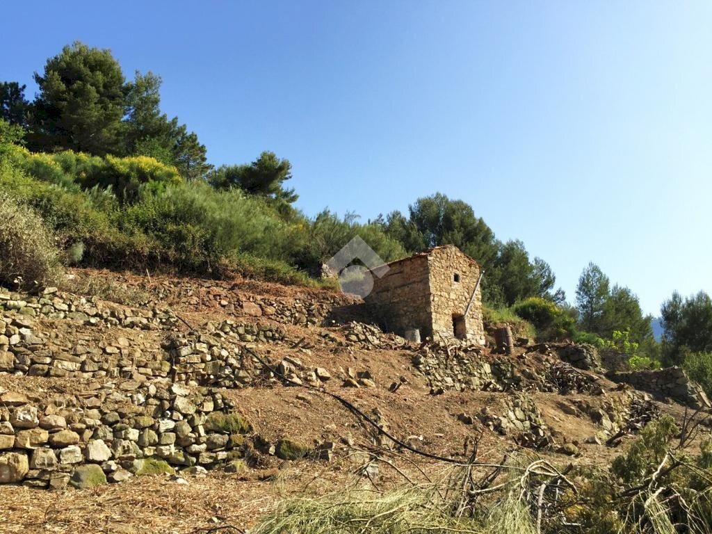 Rustic Strada massatorta, Vallebona - photo 2