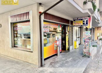 Attività Commerciale Via Veneto, Sant'Omero - foto 1