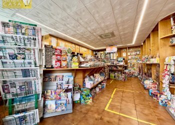 Attività Commerciale Via Veneto, Sant'Omero - foto 3