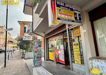 Attività Commerciale Via Veneto, Sant'Omero - foto 8