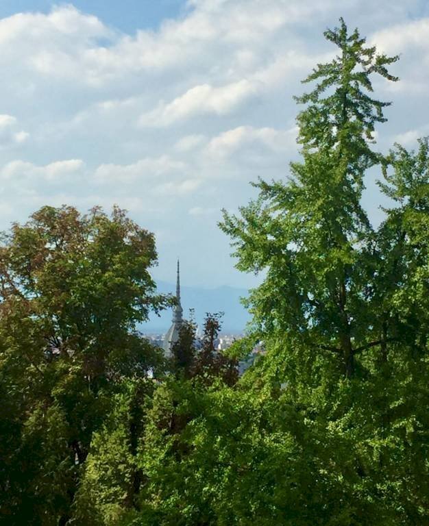 Vista - Villa strada Val San Martino Superiore, Torino - foto 2