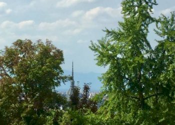 Vista - Villa strada Val San Martino Superiore, Torino - foto 2