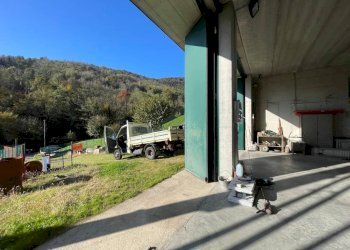 Magazzino - Capannone via Ciclamini, Luzzana - foto 9