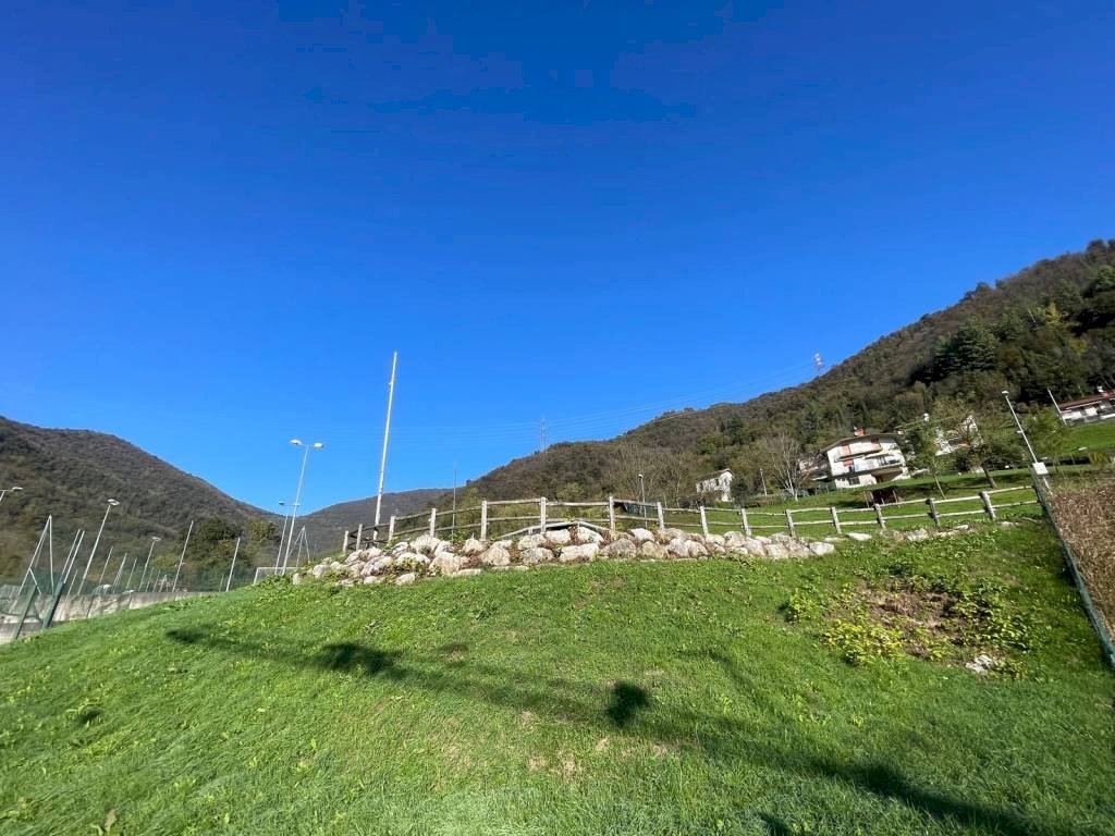 Terreno - Terreno edificabile via Ciclamini, Luzzana - foto 1