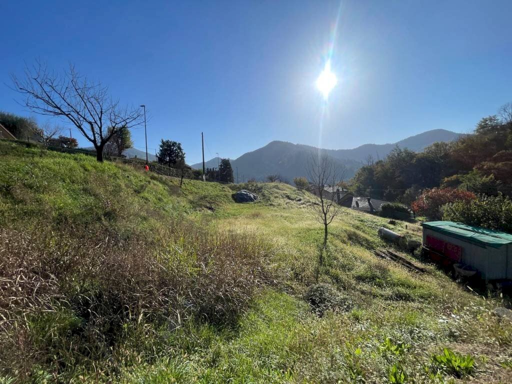 Terreno - Terreno edificabile via Ciclamini, Luzzana - foto 2