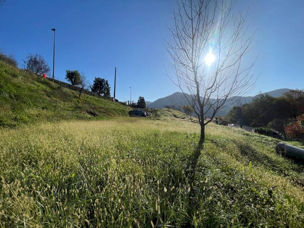 Terreno - Terreno edificabile via Ciclamini, Luzzana - foto 3