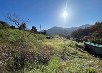 Terreno - Terreno edificabile via Ciclamini, Luzzana - foto 2