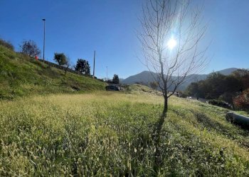 Terreno - Terreno edificabile via Ciclamini, Luzzana - foto 3