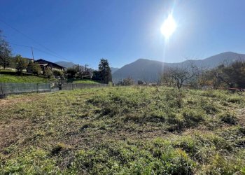 Planimetria - Terreno edificabile via Ciclamini, Luzzana - foto 9