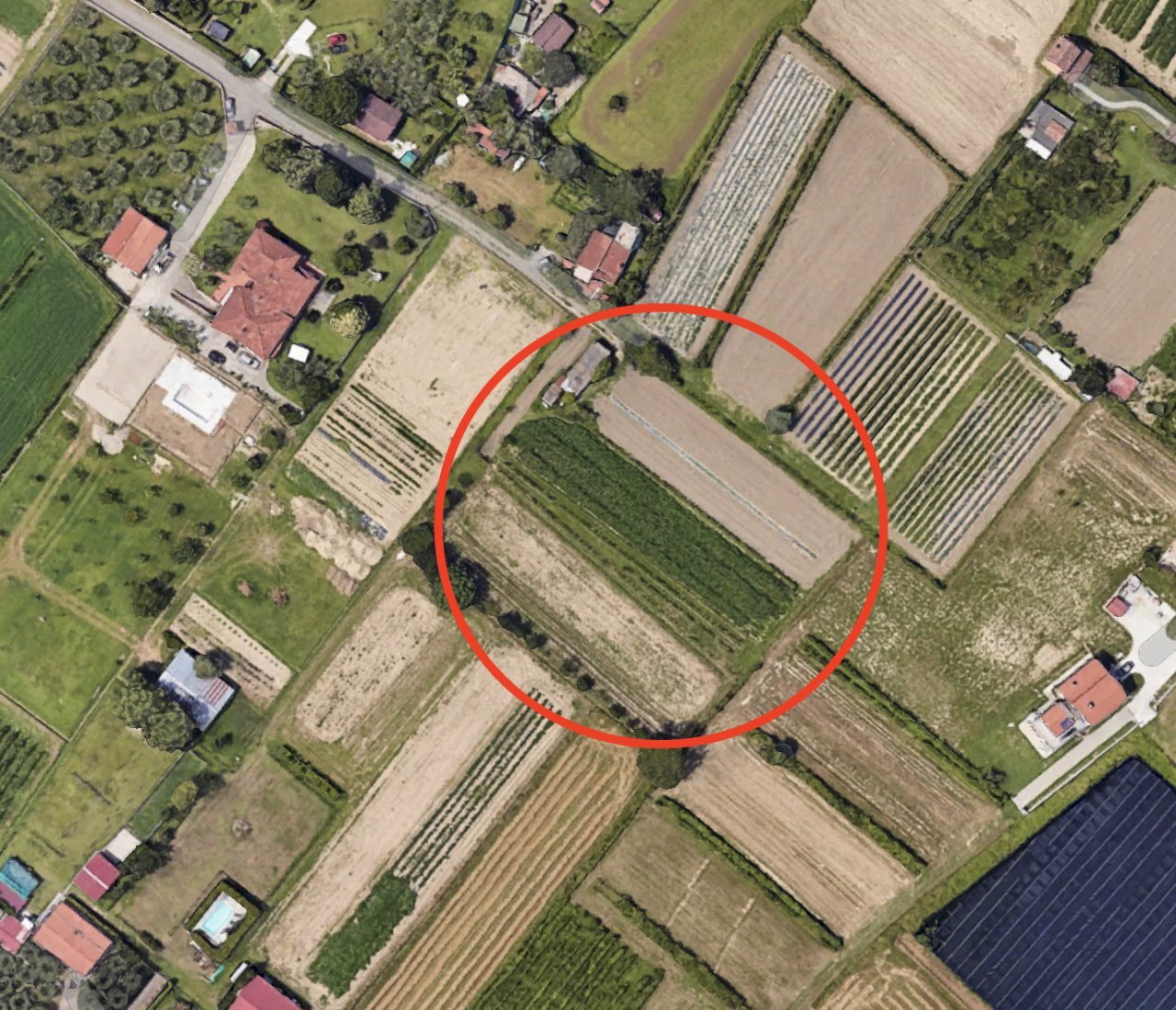 Schermata 2024-11-08 alle 12.21.52.png - Cellar / Attic Ameglia - photo 1