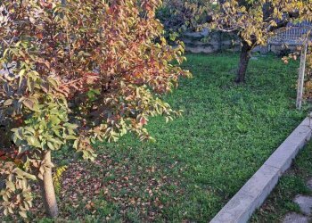 ab8567ec-d9a1-40f2-9fe2-a94ac4034462.jpg - Villa Contrada Marcianese 11, Lanciano - photo 30