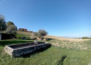 terreno - Terreno agricolo Via Don Rocco D'Alessandro 47, Manoppello - foto 6