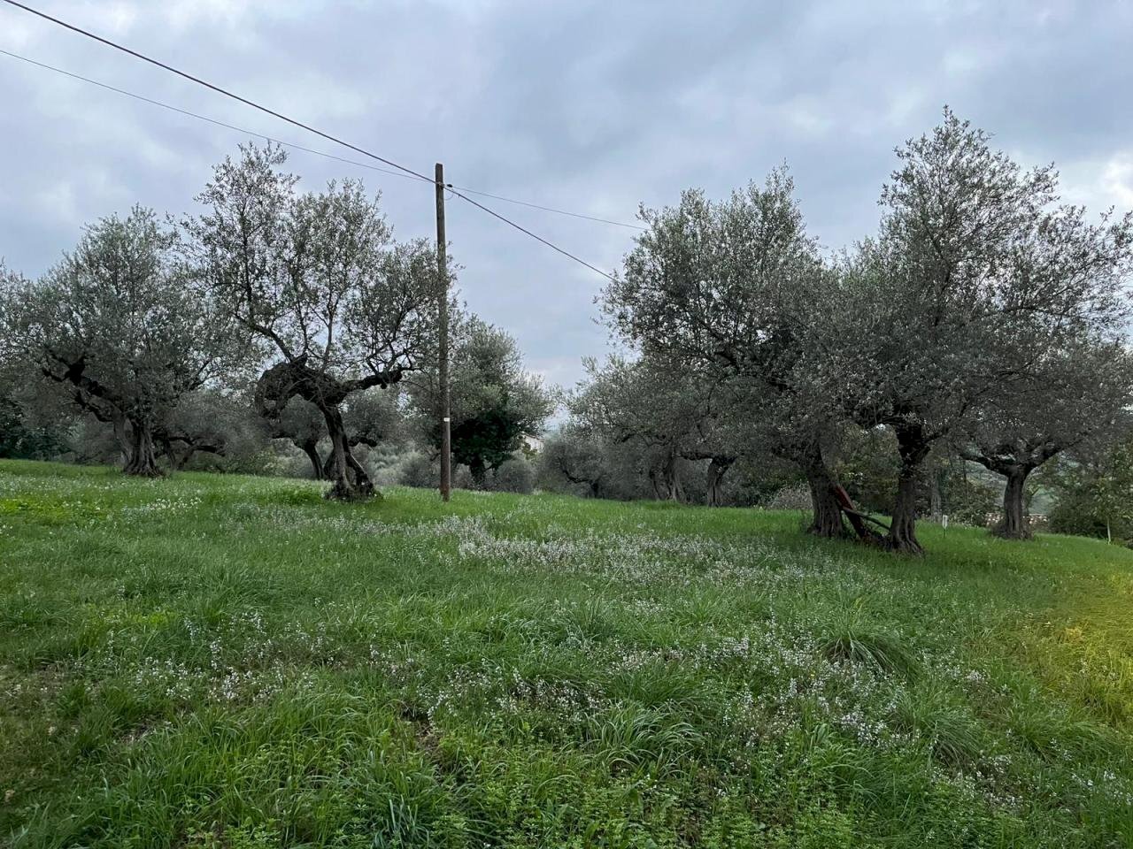 Building land Pianella - photo 2