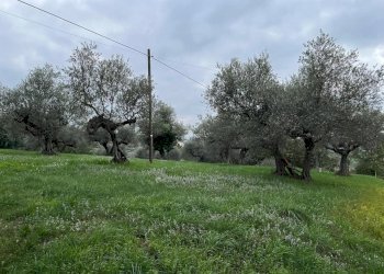 Terreno edificabile Pianella - foto 2