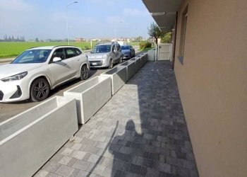 WhatsApp Image 2024-10-31 at 11.16.54.jpeg - Appartamento Montechiarugolo - foto 18