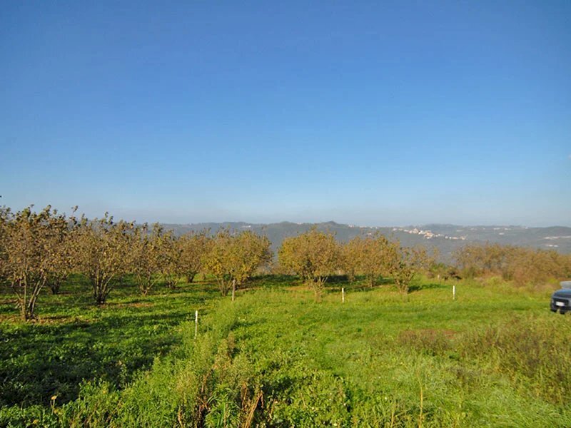 Casale Feisoglio - photo 2