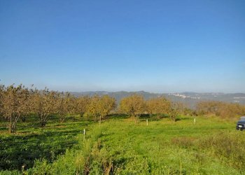 Casale Feisoglio - photo 2