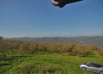 Casale Feisoglio - photo 5