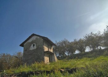 Casale Feisoglio - photo 12