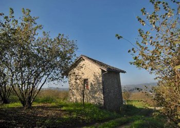 Casale Feisoglio - photo 14