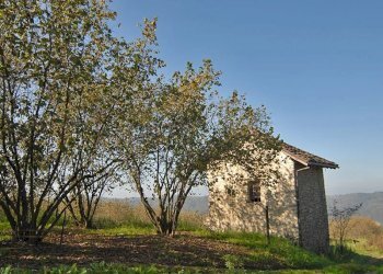 Casale Feisoglio - photo 15