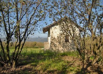 Casale Feisoglio - photo 16