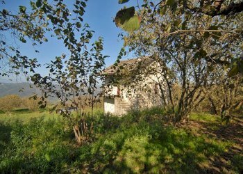 Casale Feisoglio - photo 17