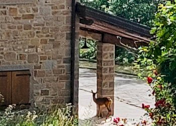 Rustico Fanano - foto 18