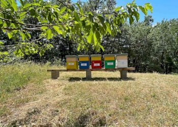 Rustico Fanano - foto 19