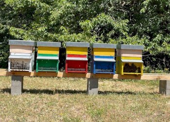 Rustico Fanano - foto 29