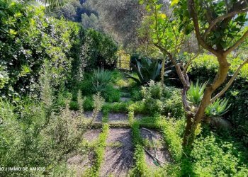 Giardino - Monolocale via Giovanni XXIII, Vallebona - foto 35