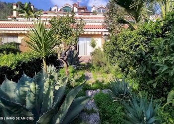 Giardino - Monolocale via Giovanni XXIII, Vallebona - foto 37