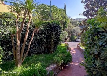 Giardino - Monolocale via Giovanni XXIII, Vallebona - foto 38