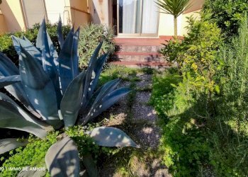 Giardino - Monolocale via Giovanni XXIII, Vallebona - foto 30