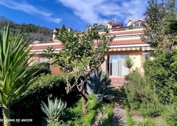 Giardino - Monolocale via Giovanni XXIII, Vallebona - foto 33