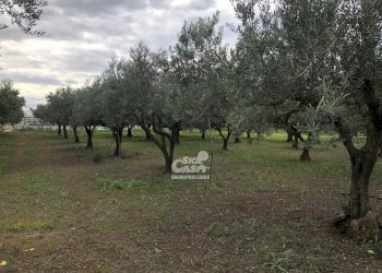 Terreno edificabile Marsala - foto 1